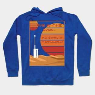 Fun in the Suns! Hoodie